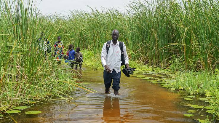 A person walks through a flooded path among reeds; date and exact location unverified